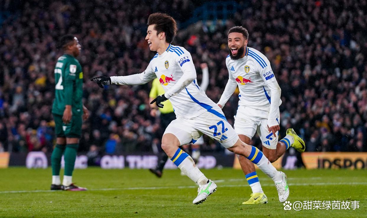 关于利兹联新援表现不俗,球队战术配合取得突破的信息 关于利兹联新援表现不俗,球队战术配合取得突破的信息