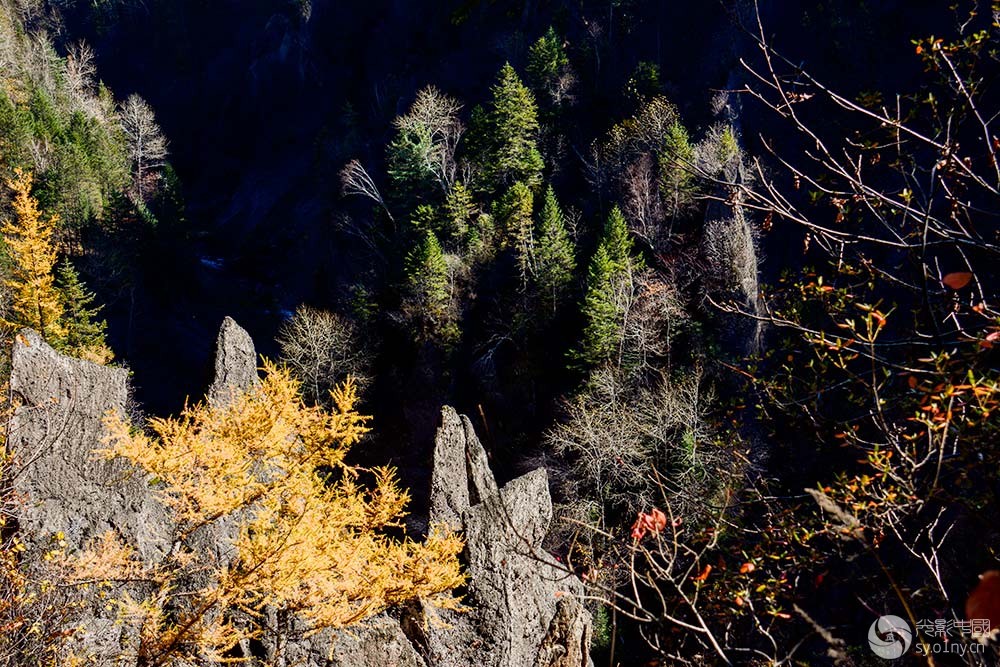 关于哈特尔普力对抗吉林峡谷,胜多负少的信息 关于哈特尔普力对抗吉林峡谷,胜多负少的信息
