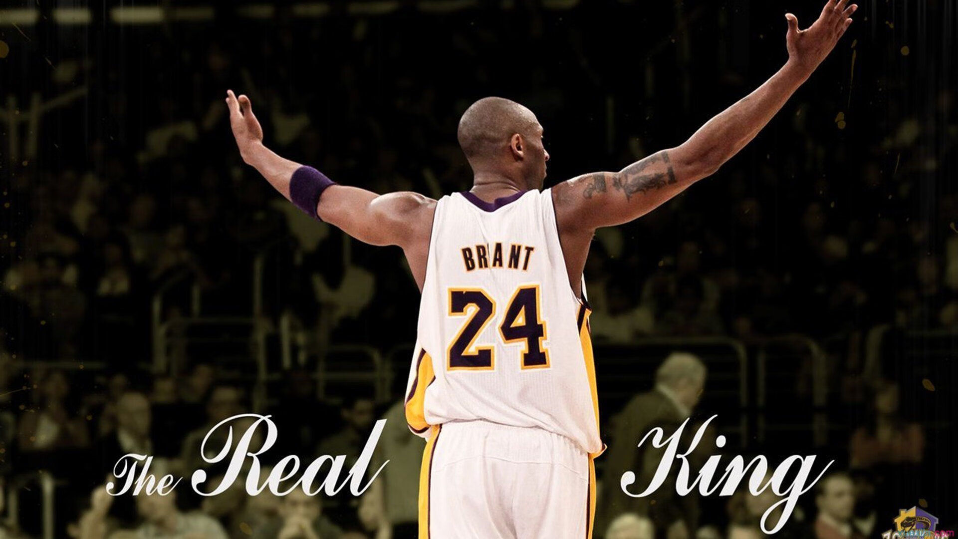 争冠夜,布鲁诺的证明,从争议核心到曼市英雄